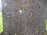 image of grave number 788751